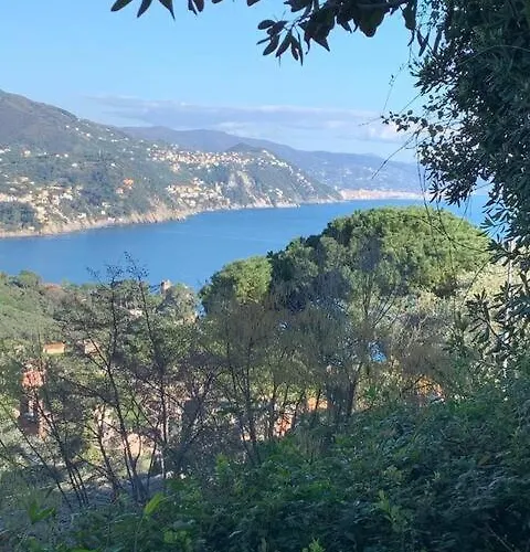 Lakshmi House 라팔로