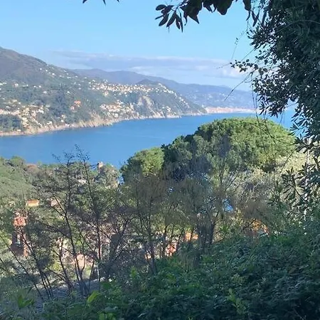 Lakshmi House Rapallo